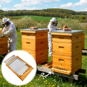BeeQuestify bottom board includes entrance reducer for seasonal hive management