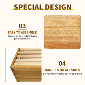 BeeQuestify frame with foundation inside emphasizes ready-to-use frames