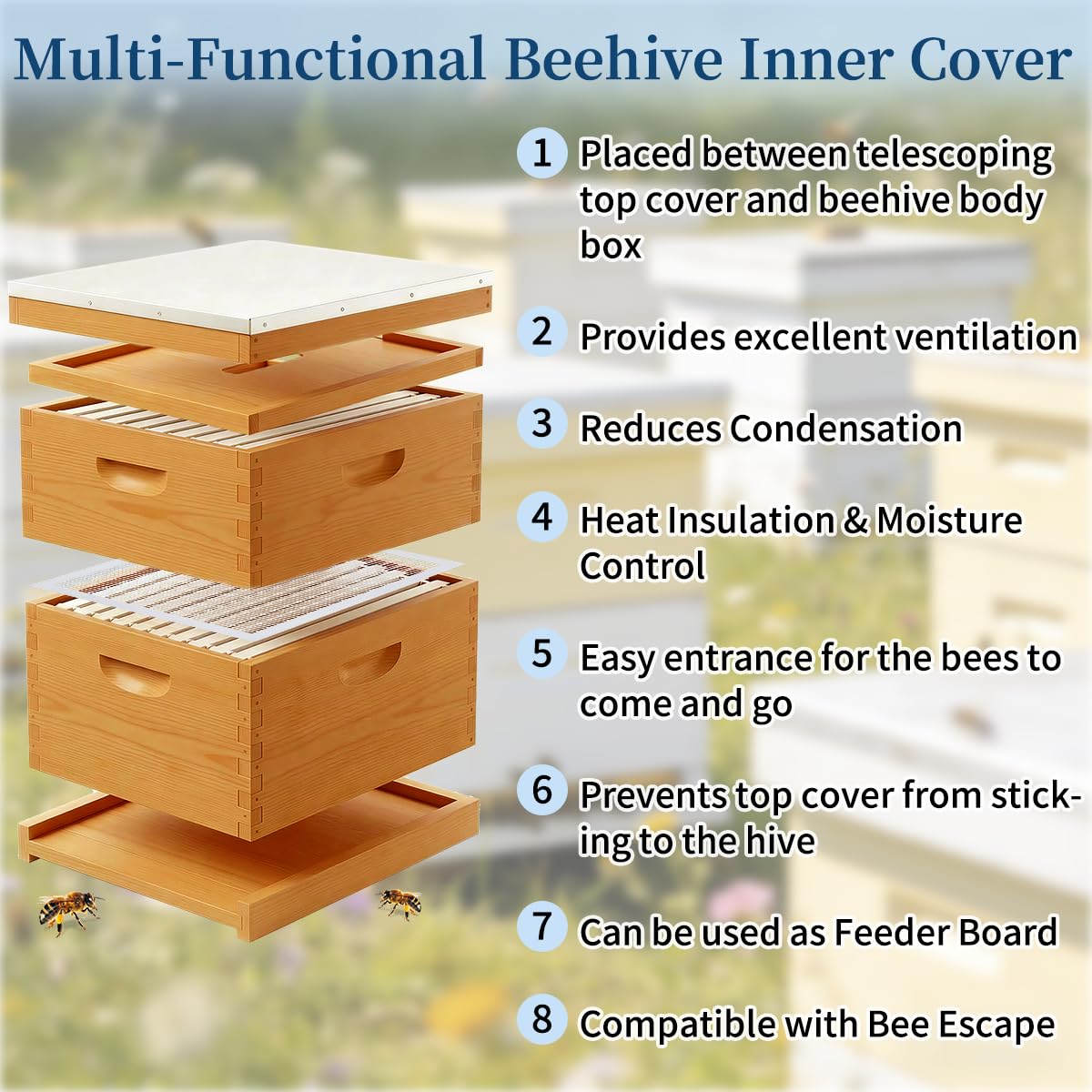 BeeQuestify inner cover center feeding hole supports hive feeding options.