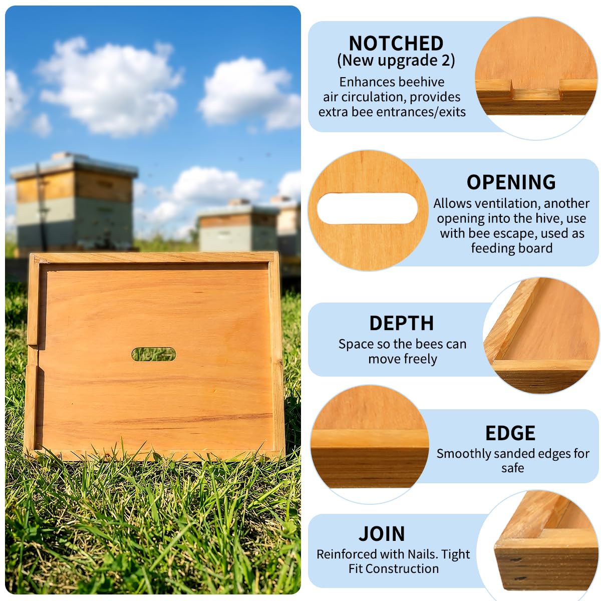 BeeQuestify New Zealand pine inner cover construction resists warping.