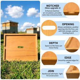 BeeQuestify New Zealand pine inner cover construction resists warping.
