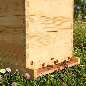 BeeQuestify natural wood finish fits 10-frame hives.