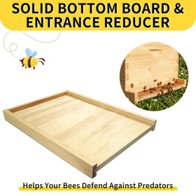 BeeQuestify oval bee escape 2 supports rapid ventilation and flight clearance.