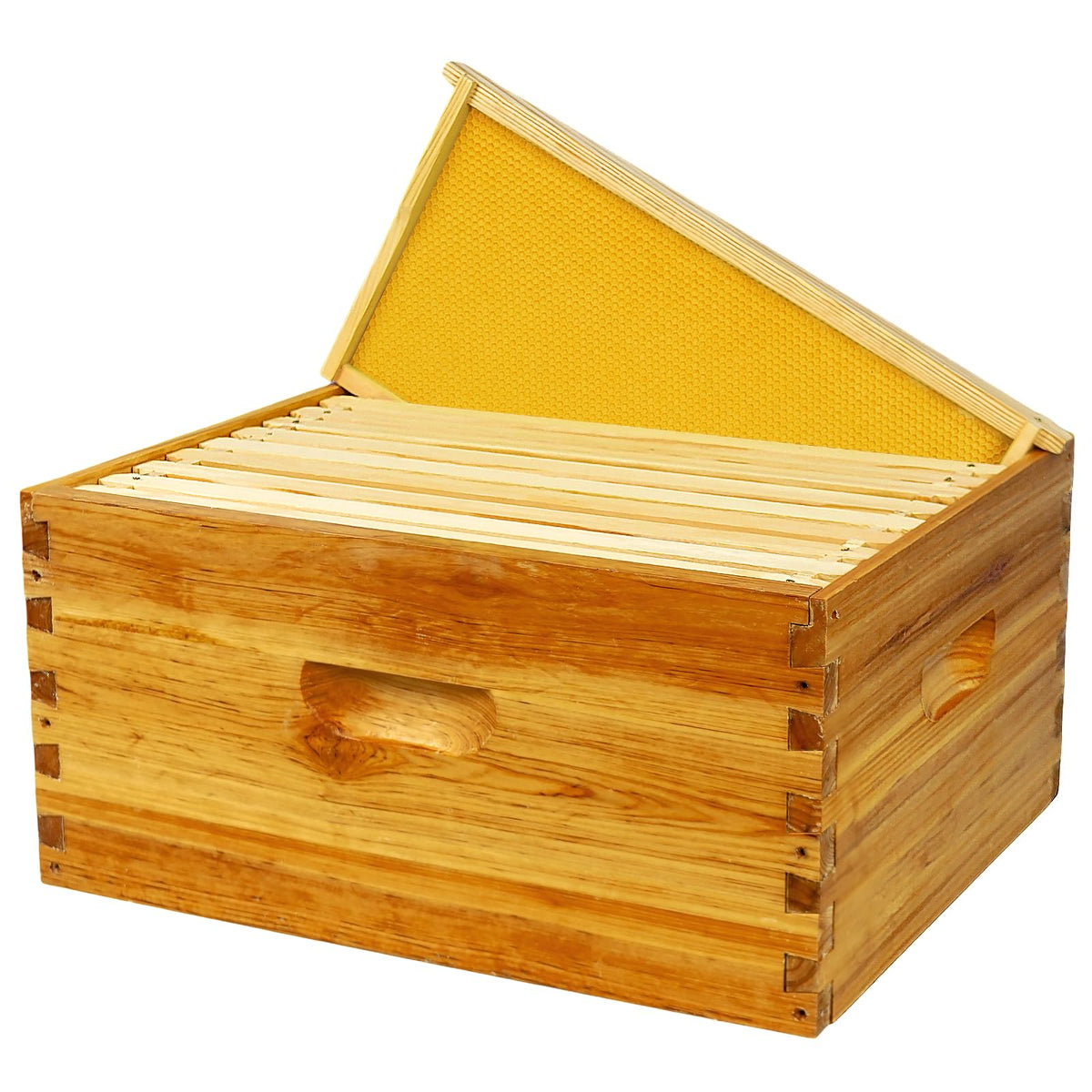 BeeQuestify hive in backyard setup, ideal for hobbyist beekeepers.
