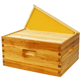 BeeQuestify hive in backyard setup, ideal for hobbyist beekeepers.