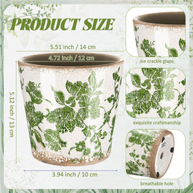 Beeveer ceramic planter with drainage hole supports healthy root growth.