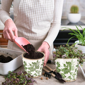 Beeveer versatile centerpiece planter for shelves and tabletops.