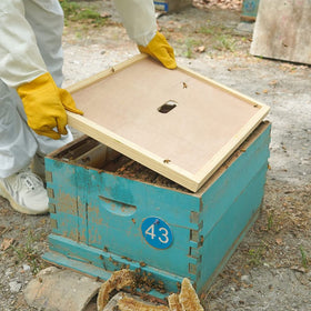BEEXTM inner cover with oval opening for feeding and bee escapes on a hive