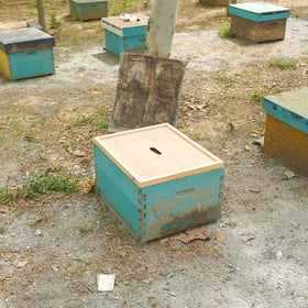 Standard 10-frame fit BEEXTM cedar inner cover on hive box