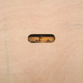 BEEXTM beehive inner cover in New Zealand pine for durable outdoor use