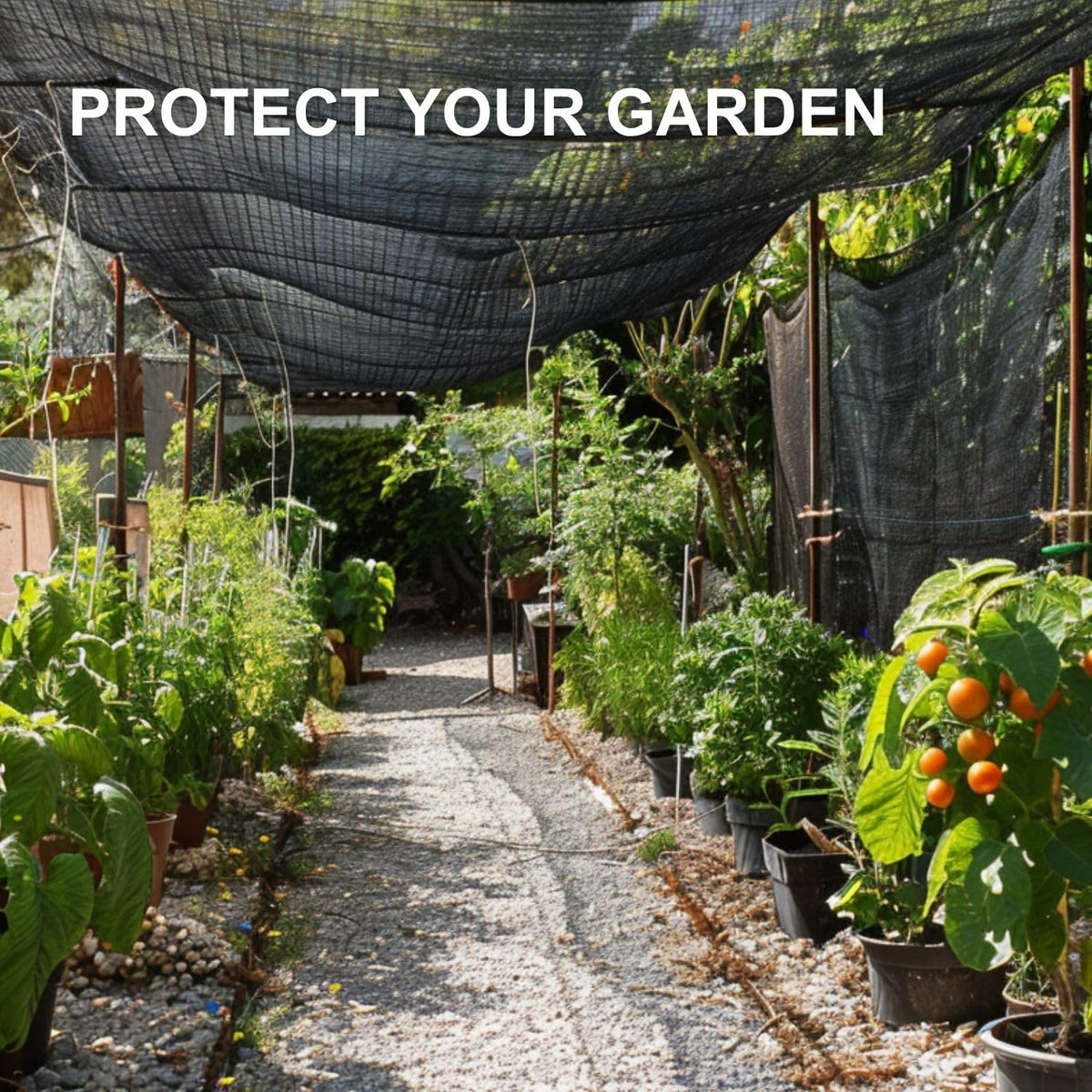 BeGrit shade cloth suits chicken coops for cooler shaded environments