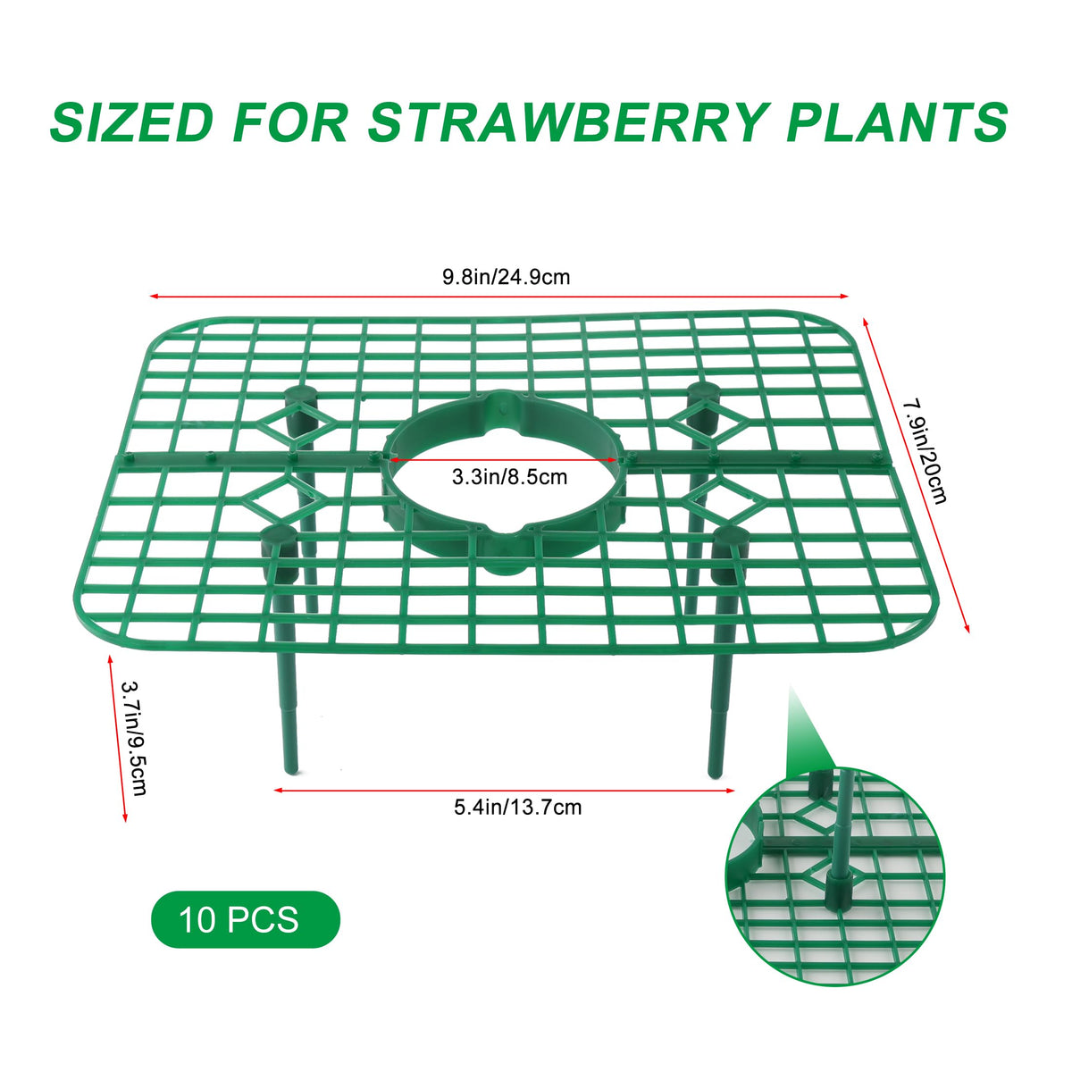 BEIUEN elevated berry setup keeps fruit off ground during rain.