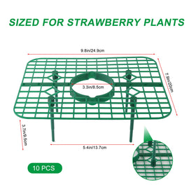 BEIUEN elevated berry setup keeps fruit off ground during rain.