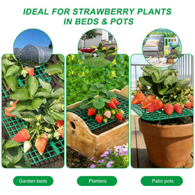 BEIUEN quick tool-free setup snaps together for fast garden use.