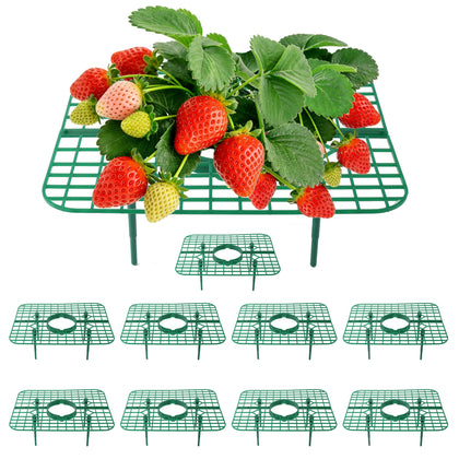 BEIUEN strawberry plant supports square frame in garden for cleaner, elevated berries.