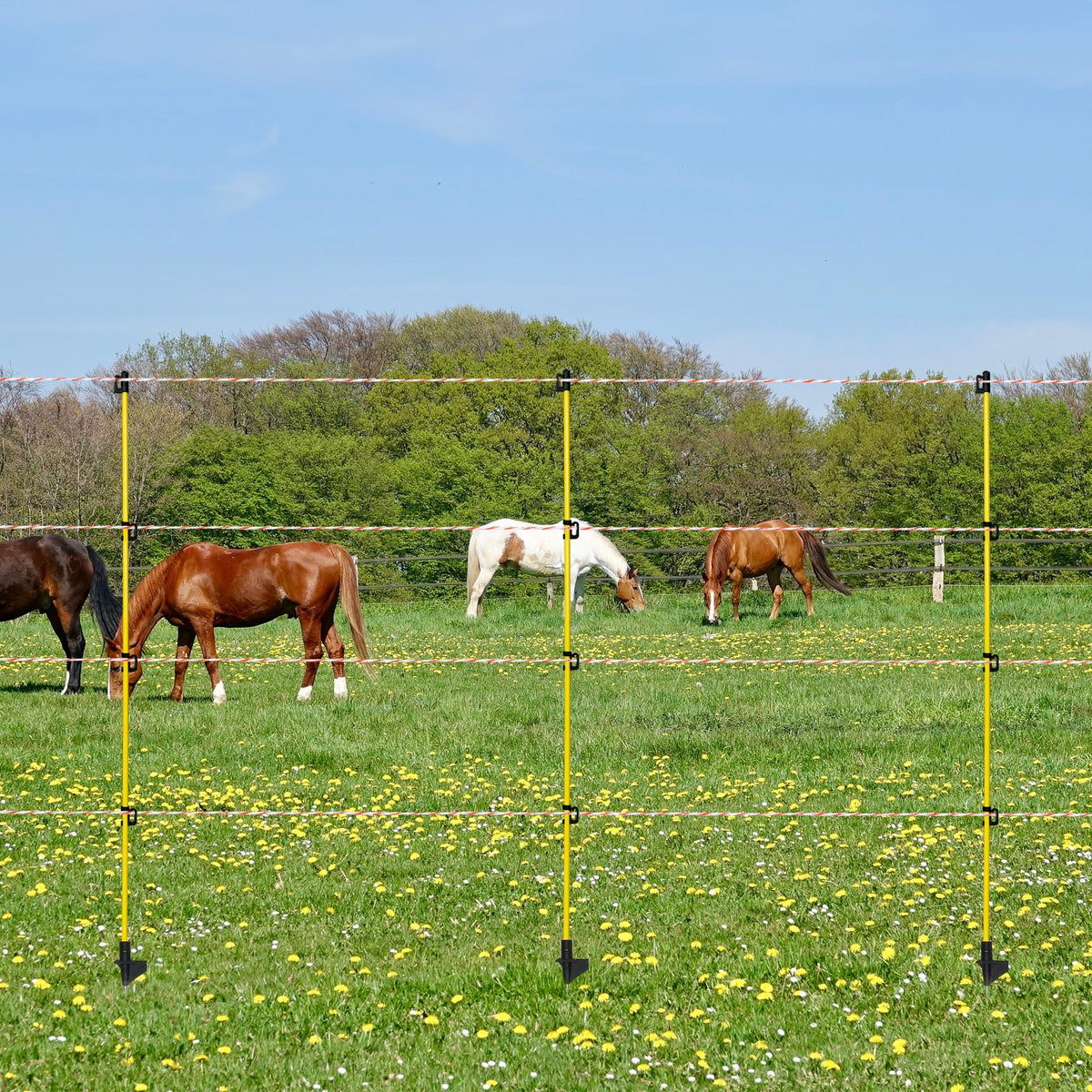 BEIYI step-in flange facilitates quick setup for portable fencing systems.
