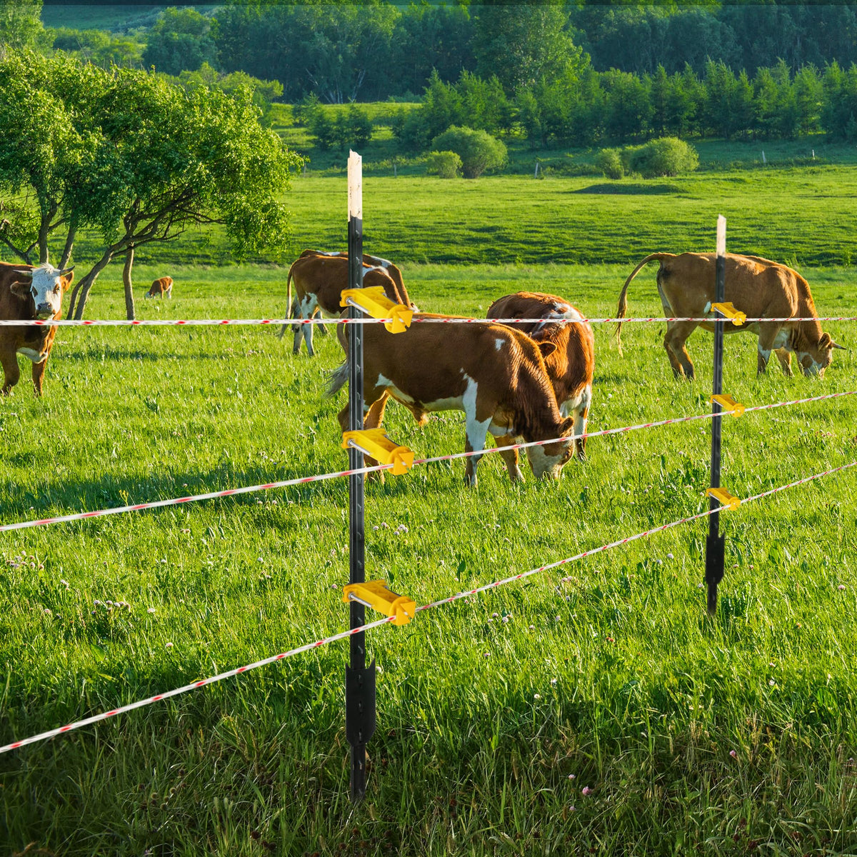 BEIYI rapid-install 25-pack kit reduces fence setup time.