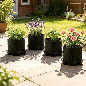 Bekith elevated platform with grid holes protects roots from pooling runoff.