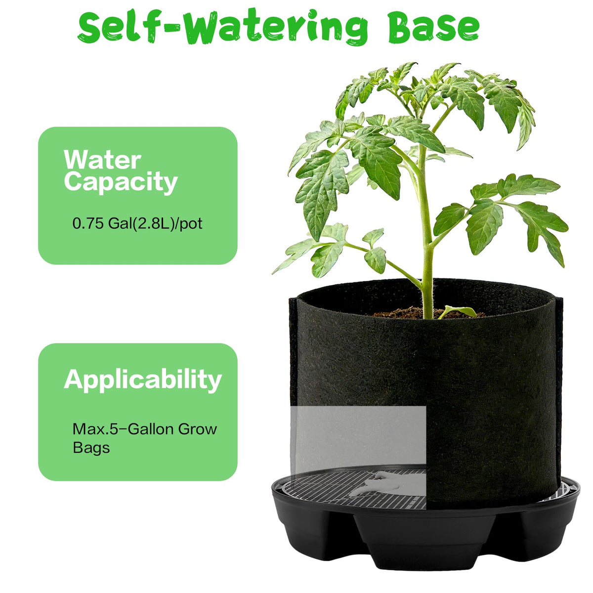Bekith large-capacity base holds up to 2.8 liters for steady watering.