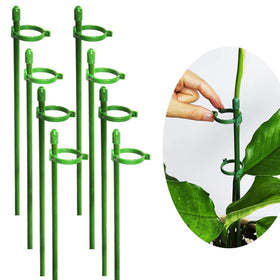 Belit 8-pack small plant stake in dark green blends with foliage for discreet stem support.