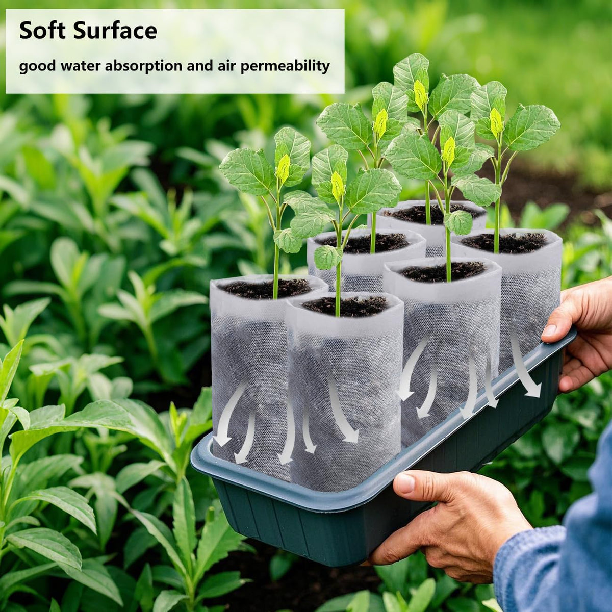 Belit deep nursery grow bags 50-pack delivery for versatile projects