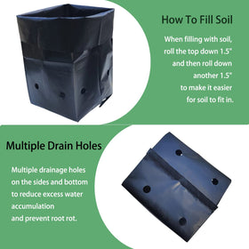 Belit flexible seedling pots resist tearing during relocation