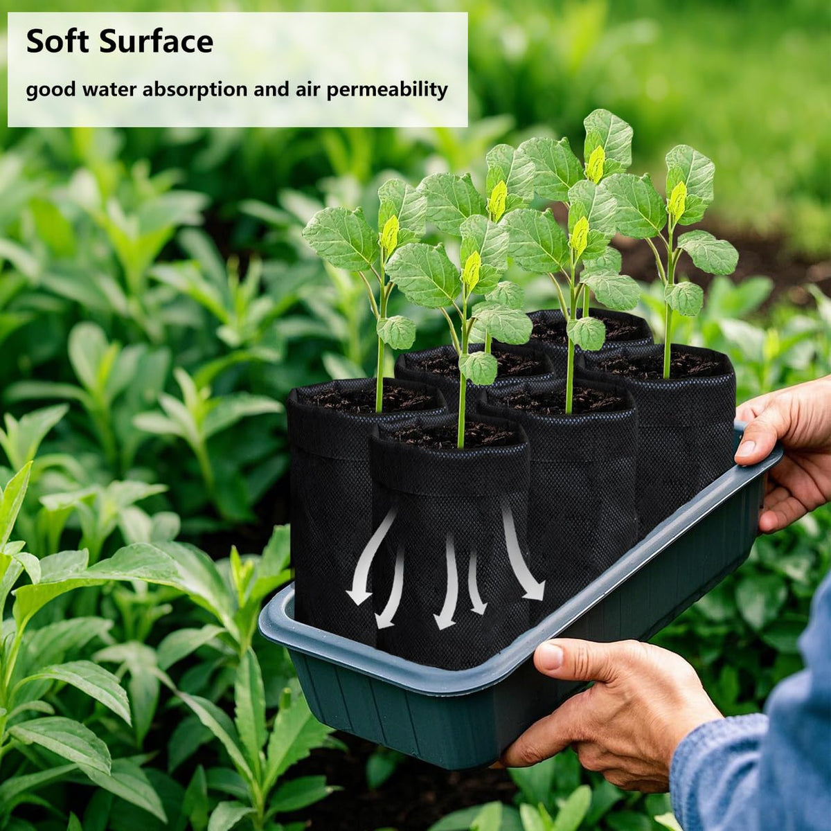 Belit grow bags showcase good drainage and airflow supporting robust roots.