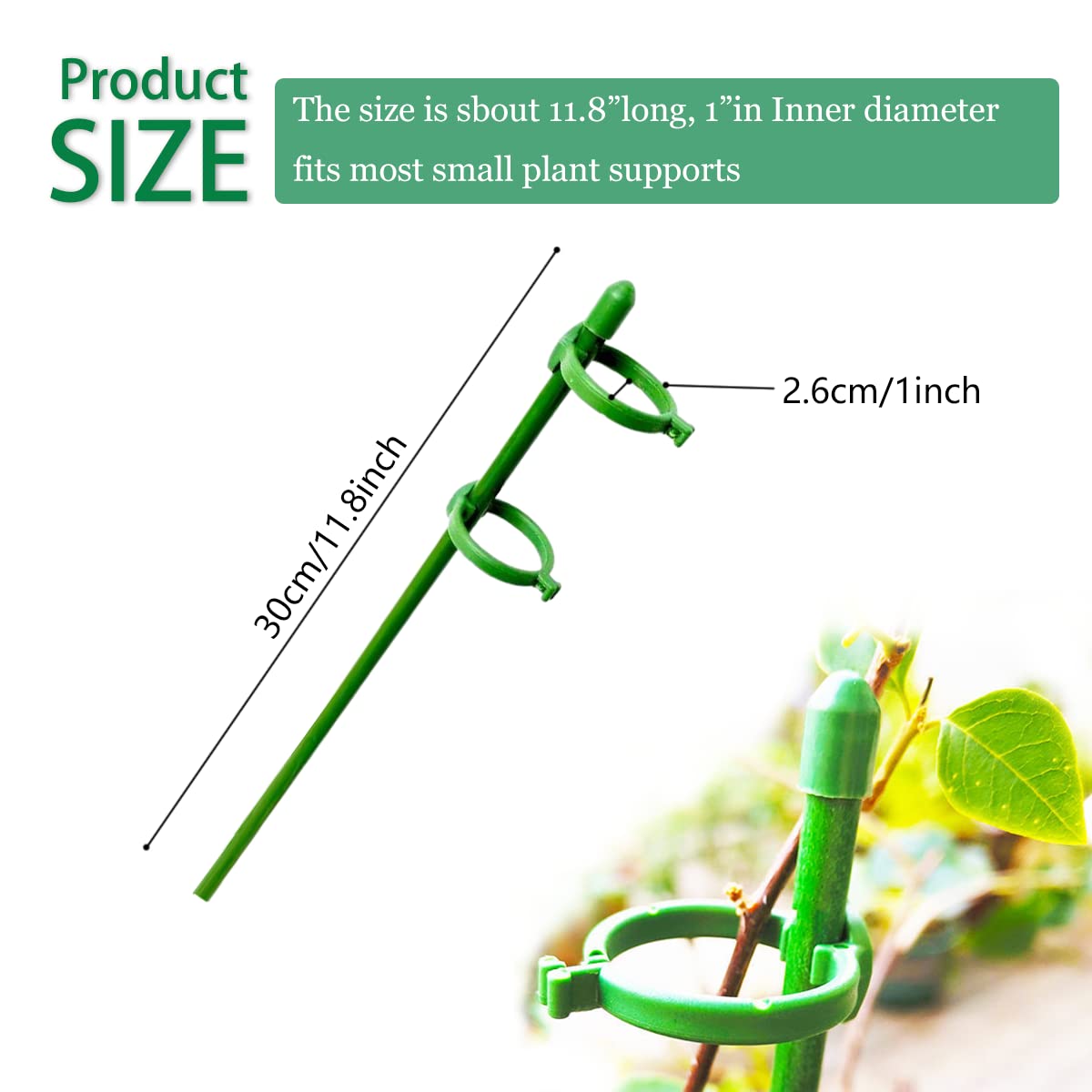 Belit green stake with buckle setup shows discreet garden support system.