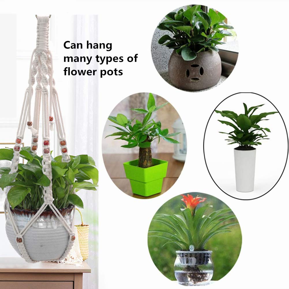 Belit versatile wall-hung or ceiling-hung planter enhances home greenery