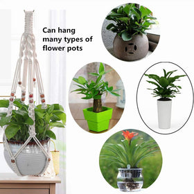 Belit versatile wall-hung or ceiling-hung planter enhances home greenery