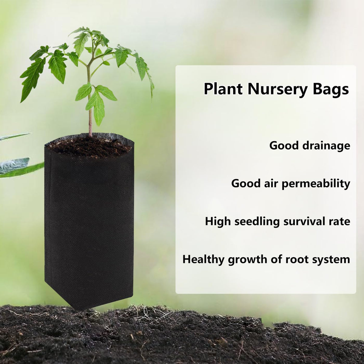 Belit non-woven fabric closeup highlights breathable, sturdy material for healthy seedlings.