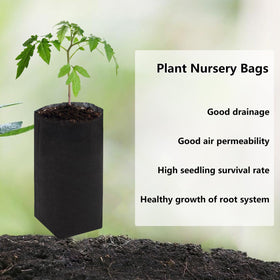 Belit non-woven fabric closeup highlights breathable, sturdy material for healthy seedlings.