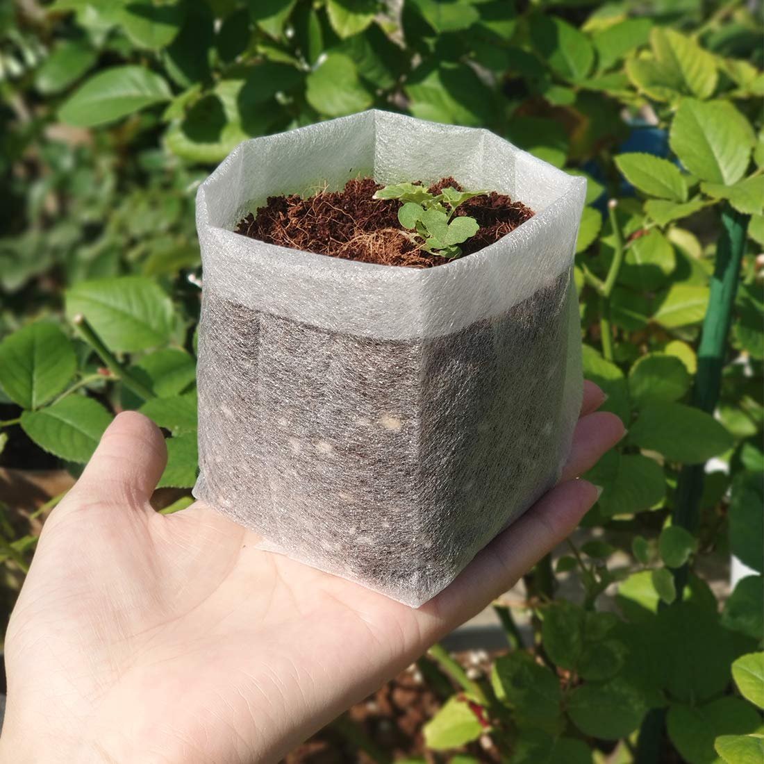 Belit non-woven seedling bags show breathable, lightweight fabric