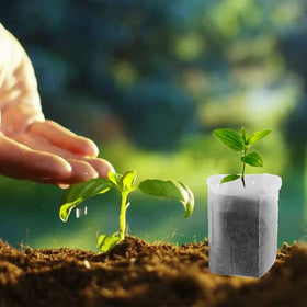 Belit nursery bags demonstrating drainage and air permeability for seedlings.