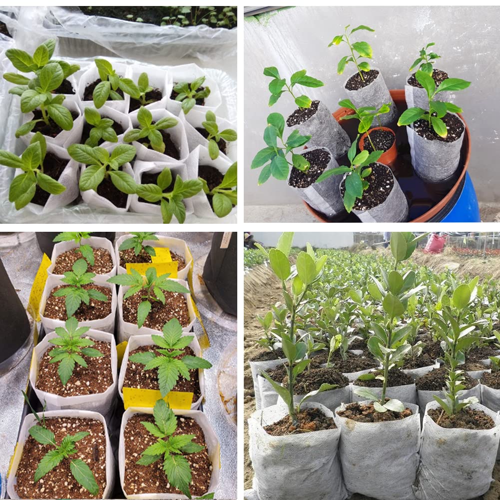 Belit nursery bags versatile for vegetables, flowers, and fruit seedlings.
