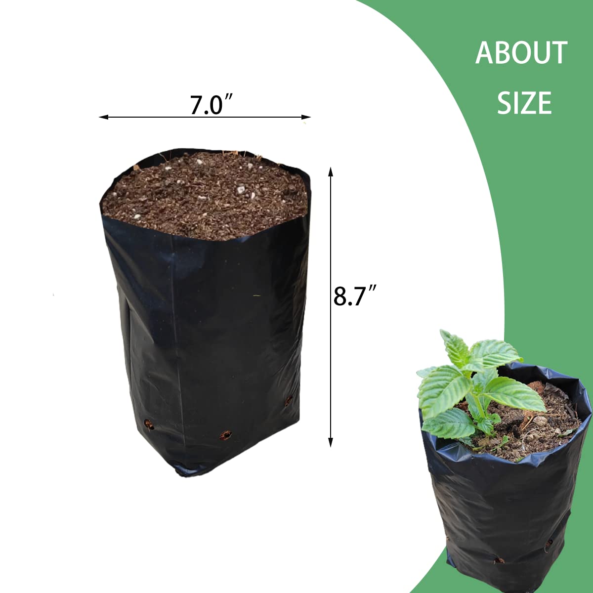 Belit reusable seedling bags offer long service life