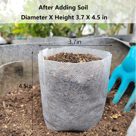 Belit seedling bags emphasize air permeability for robust root systems