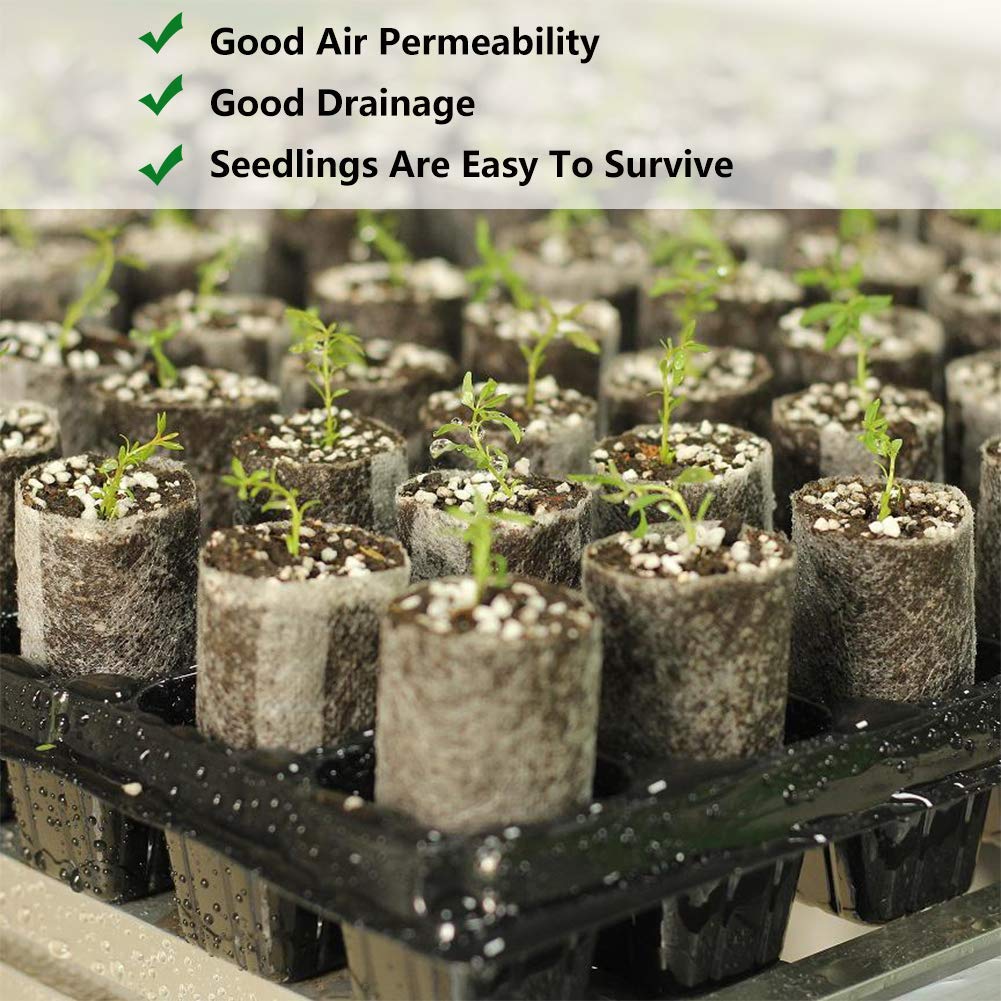 Belit seedling bags provide easy drainage to reduce overwatering