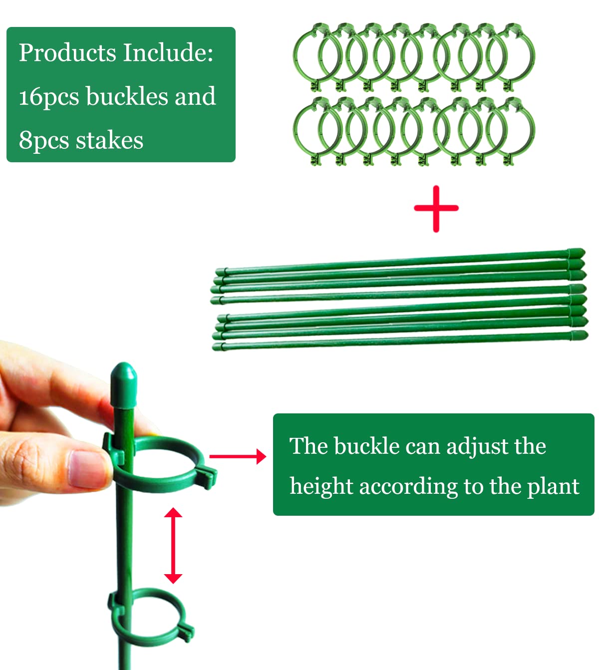Belit single-stem support stabilizes orchid, rose, and peony stems in breezy days.