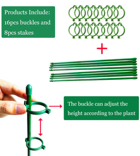 Belit single-stem support stabilizes orchid, rose, and peony stems in breezy days.