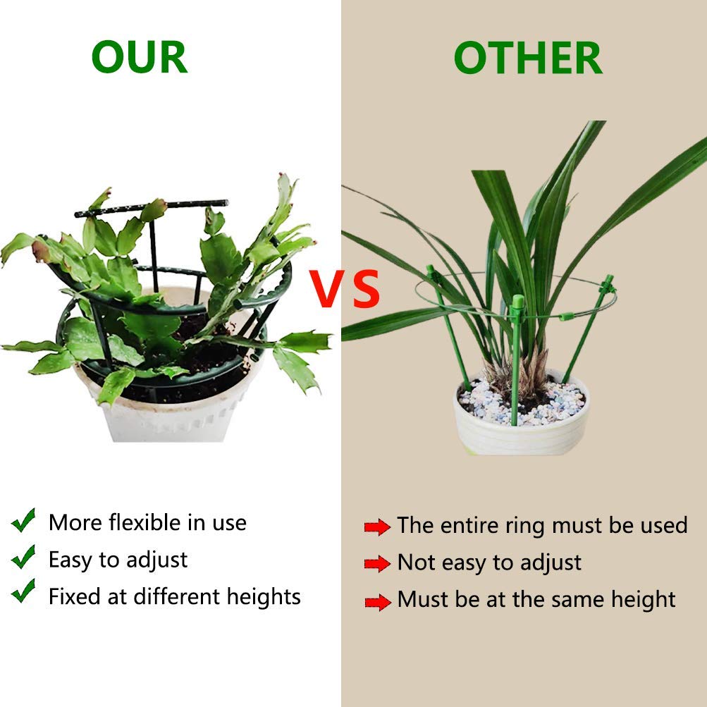 Belit ring measures 14 cm wide by 15 cm high for small plants.