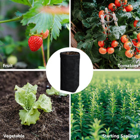 Belit bags enable vegetable seedling starts for home gardens.