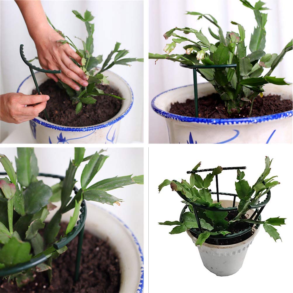 Belit plant supports in weather-resistant plastic endure outdoor use.
