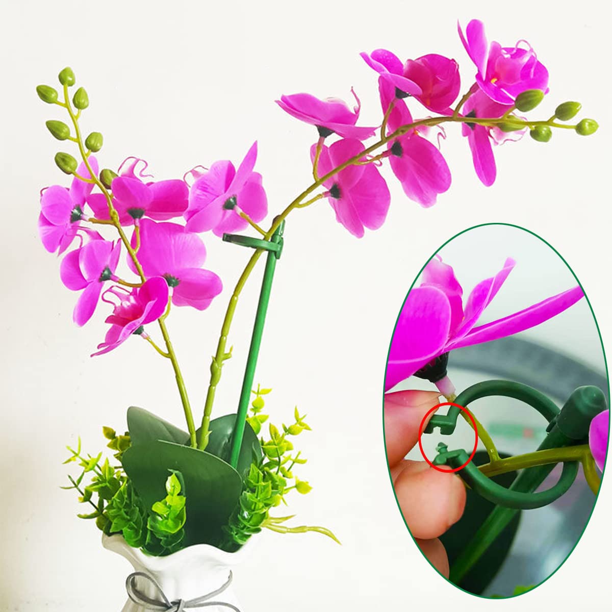 Belit stake helps protect tall stems from wind and rain.