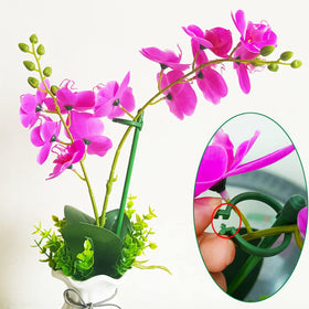 Belit stake helps protect tall stems from wind and rain.