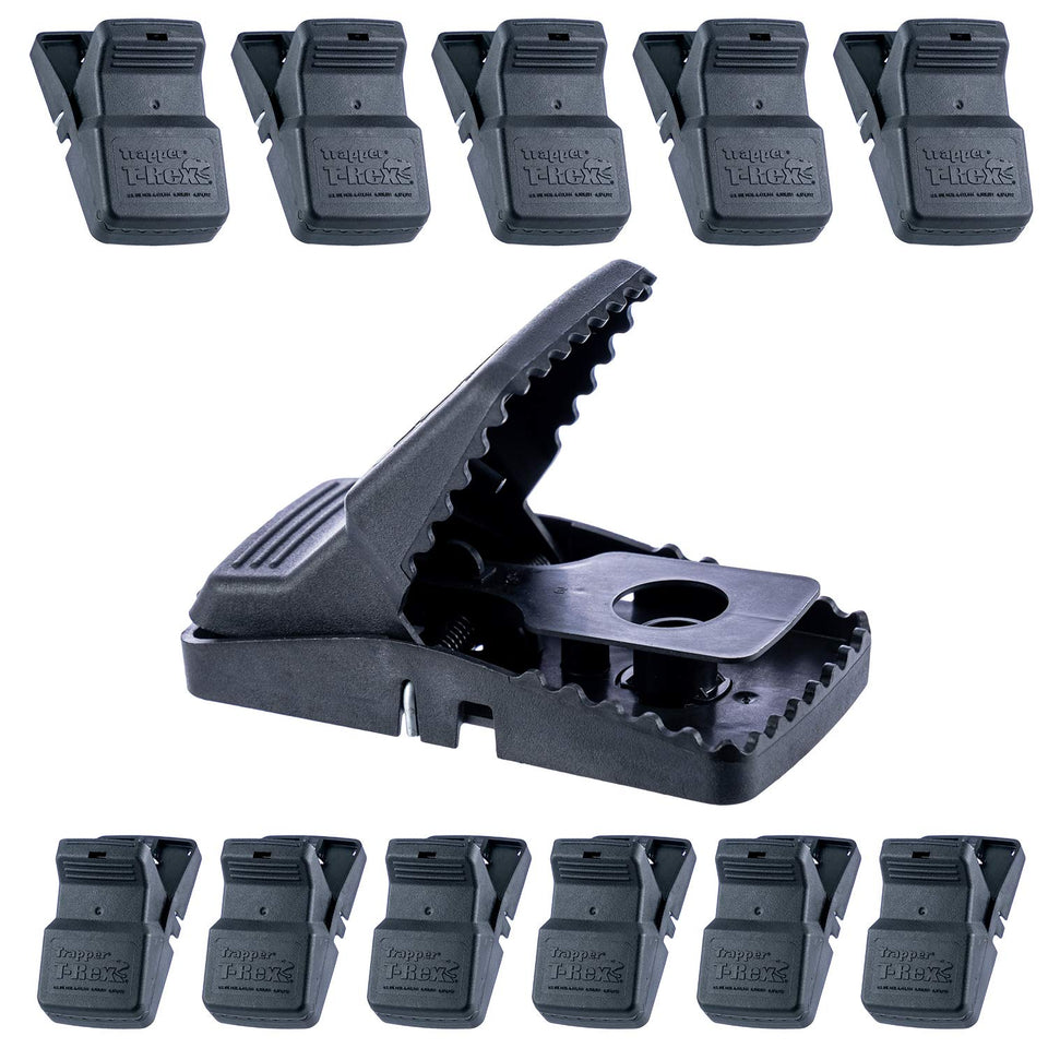 Bell Laboratories Trapper T-Rex rat trap front view for wall placement and quick setup