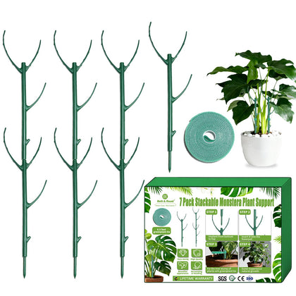 BeltandRoad 7-pack Stackable Plant Poles provide flexible indoor plant support.