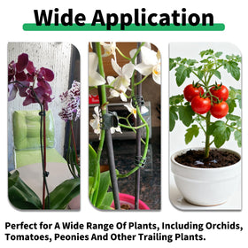 BeltandRoad adjustable clips fit various plant sizes for versatile use.