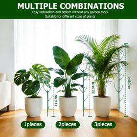 BeltandRoad Monstera Height Adjustment helps tall vines grow upright.