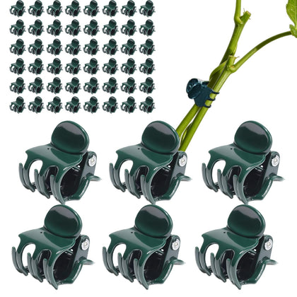 BeltandRoad plant clips secure compact stems without squeezing.
